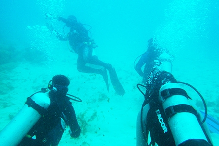 Mergulho em Abrolhos